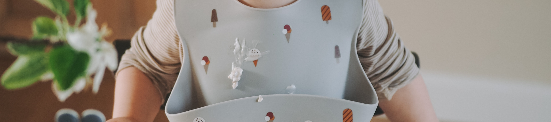 Bibs & Long Sleeve Shirt