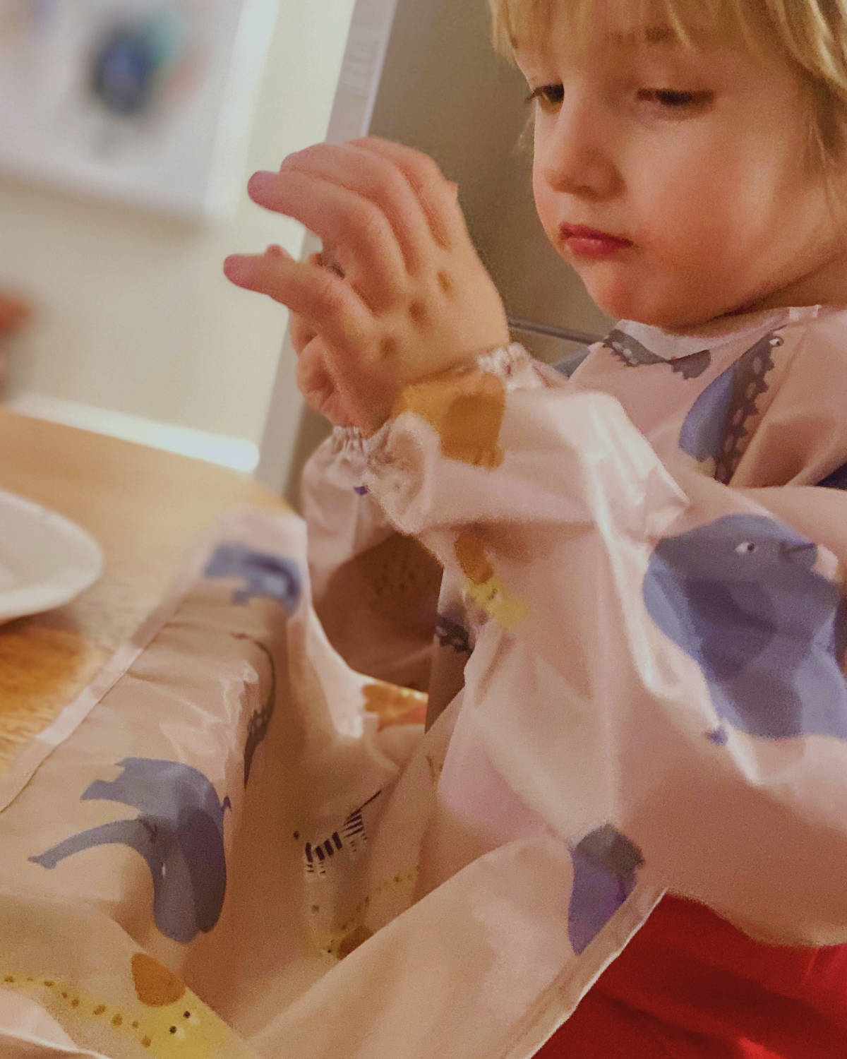 BLW Long Sleeve Shirt