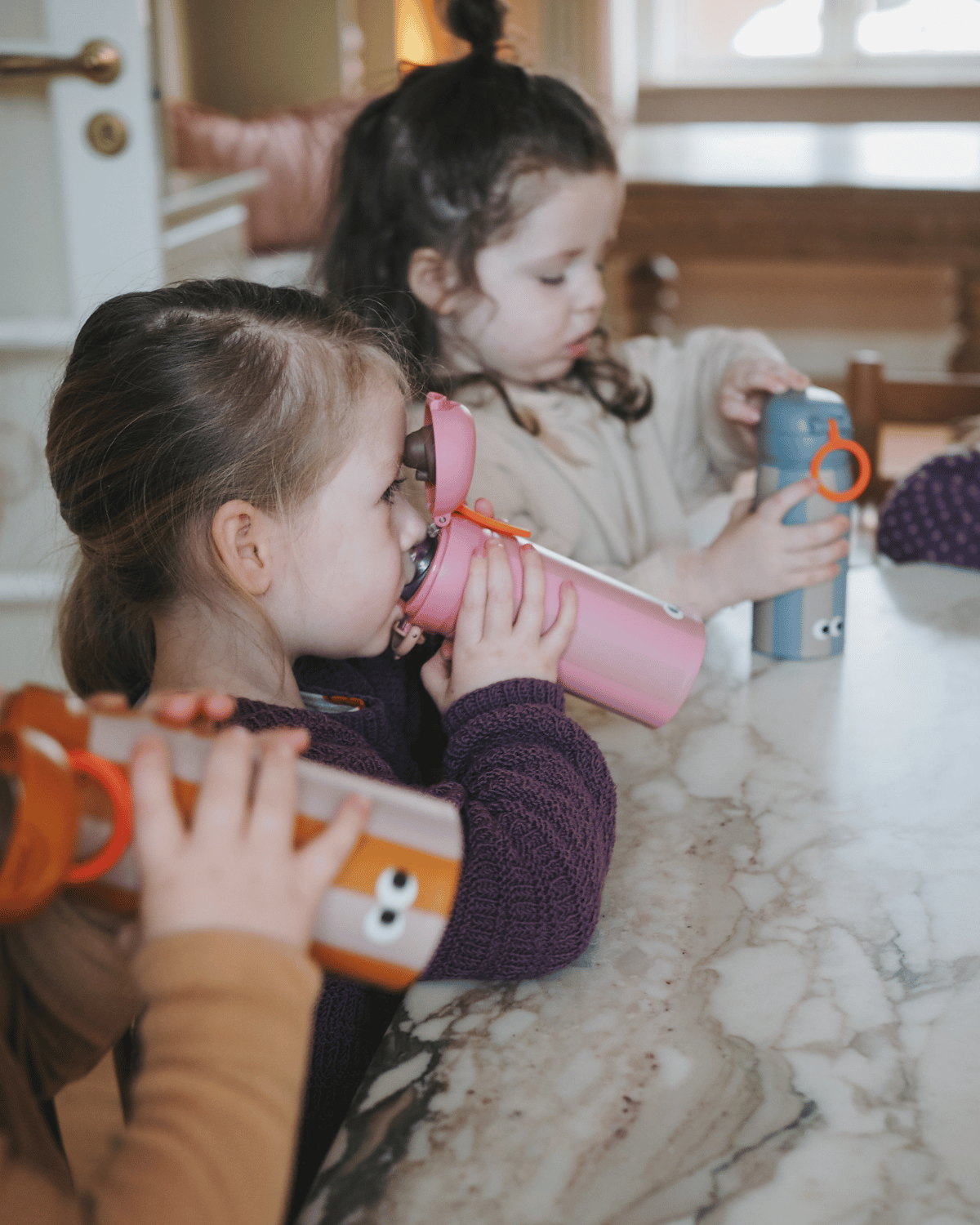 Striped 350 ml stainless steel water bottle for kids with a lion on – insulated and easy to carry
